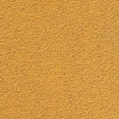 Gold disques 6+1 Trous