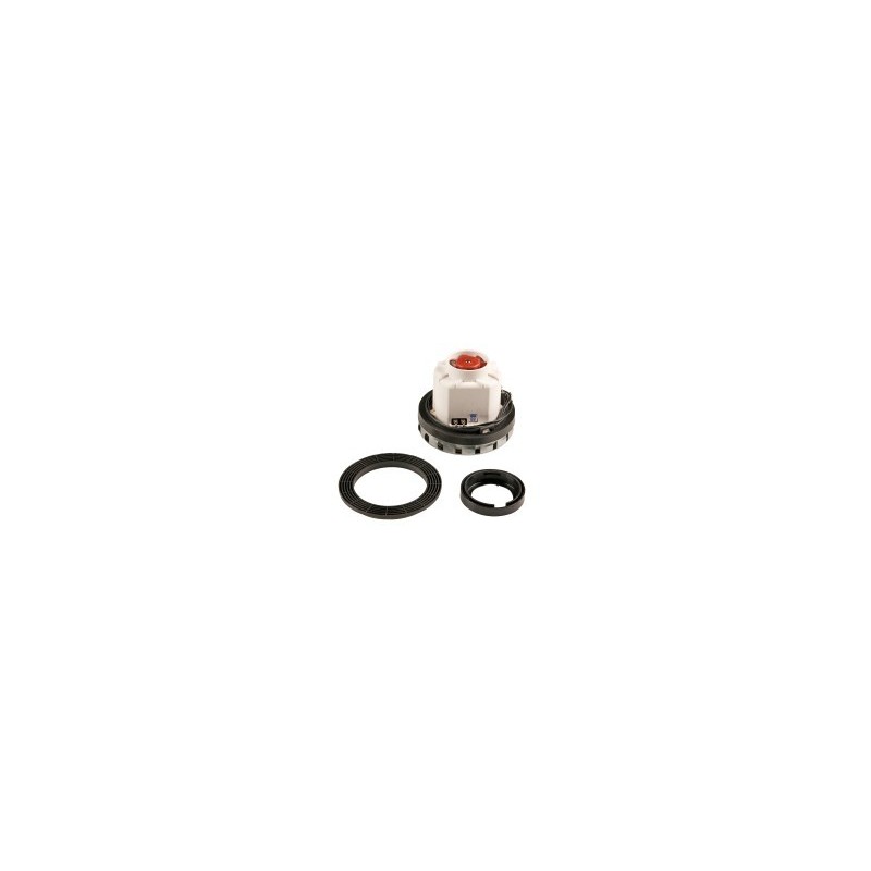 Motor Assembly 915 230V